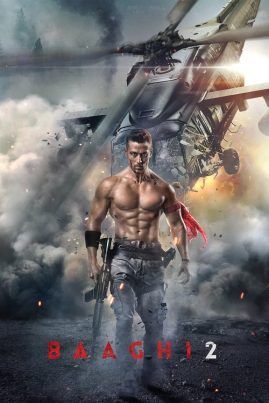 ดูหนังออนไลน์ฟรี BAAGHI 2 (2018) บากิ ยอดคนสุดระห่ำ